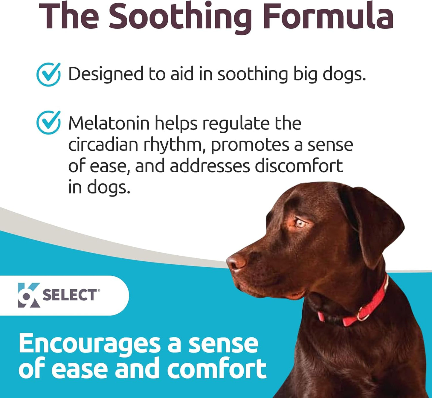 K9 Select Melatonin for Large Dogs – Composure & Calming Chews – 6 mg, 90 Beef Flavoured Tablets for Stress & Sleep Support