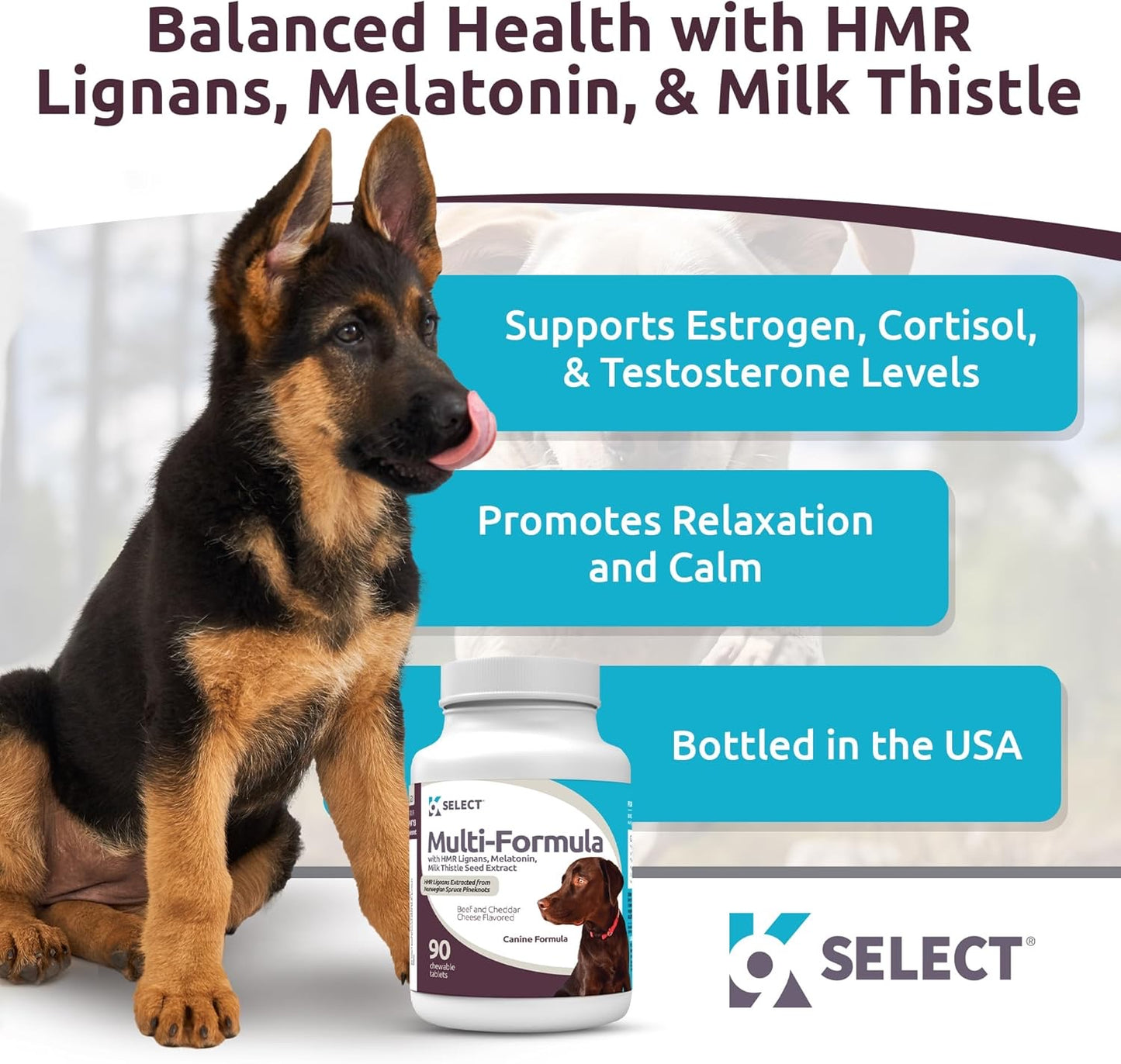 K9 Select Multi-Formula Dog Vitamins for Large Dogs – 90 Beef Tablets | Heart, Liver, Skin & Coat Health with HMR Lignans, Melatonin & Milk Thistle