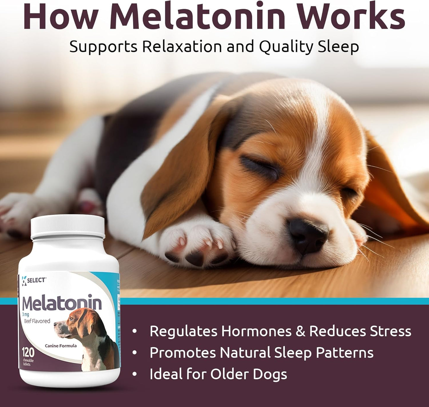 K9 Select Melatonin for Small Dogs – Composure & Calming Chews – 3 mg, 120 Beef Flavoured Tablets for Sleep & Stress Relief
