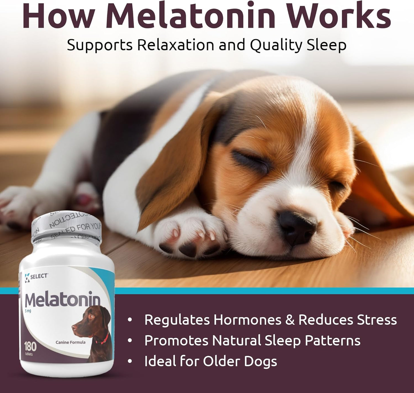 K9 Select Melatonin for Dogs – Calming Aid & Quiet Moments Supplement – 5 mg, 180 Beef Flavoured Tablets for Large Dogs