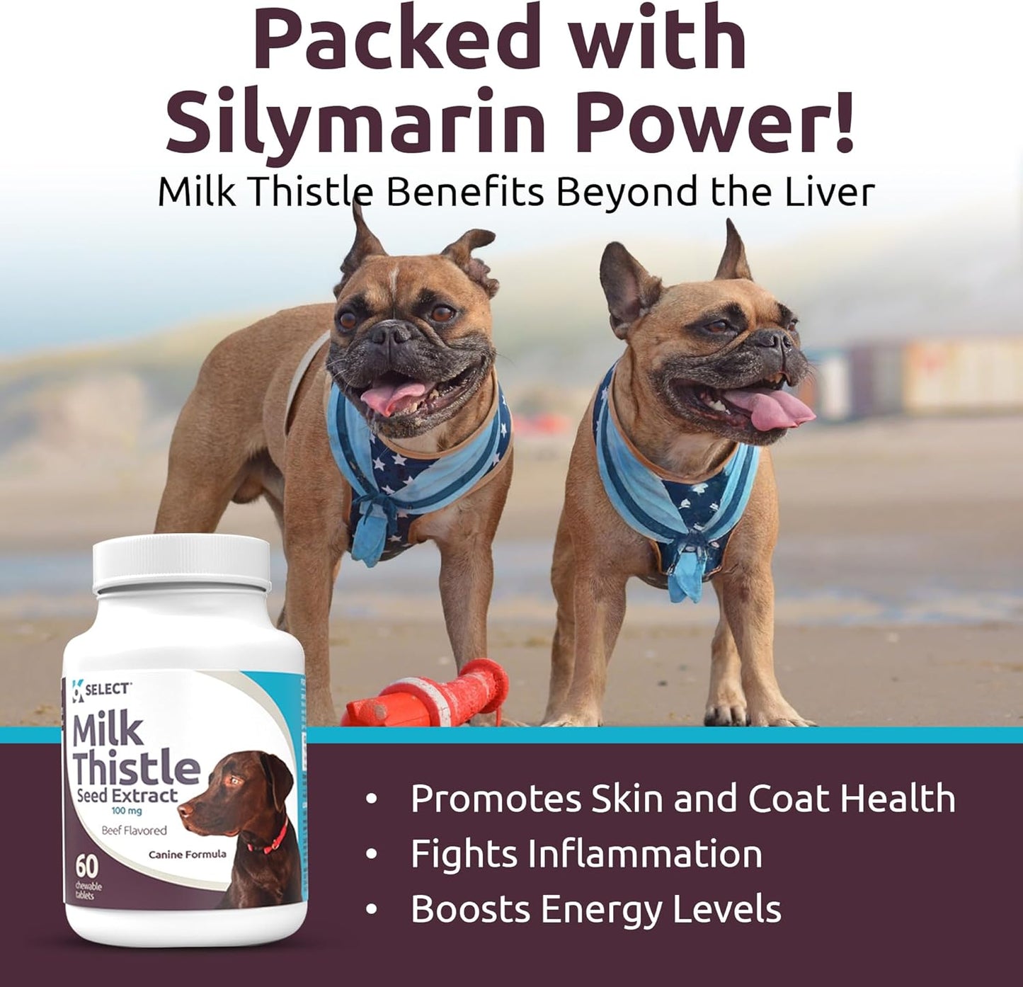K9 Select Milk Thistle for Dogs – 100 mg Liver Support Supplement – 60 Beef Flavoured Tablets for Canine Detox & Immune Health