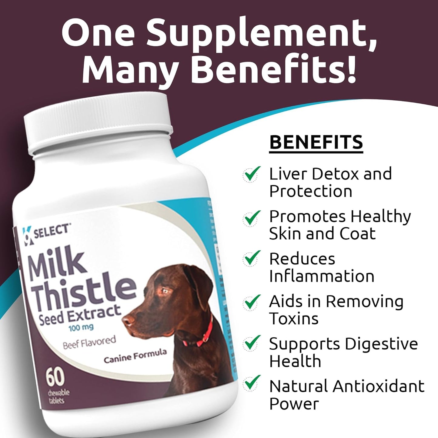 K9 Select Milk Thistle for Dogs – 100 mg Liver Support Supplement – 60 Beef Flavoured Tablets for Canine Detox & Immune Health