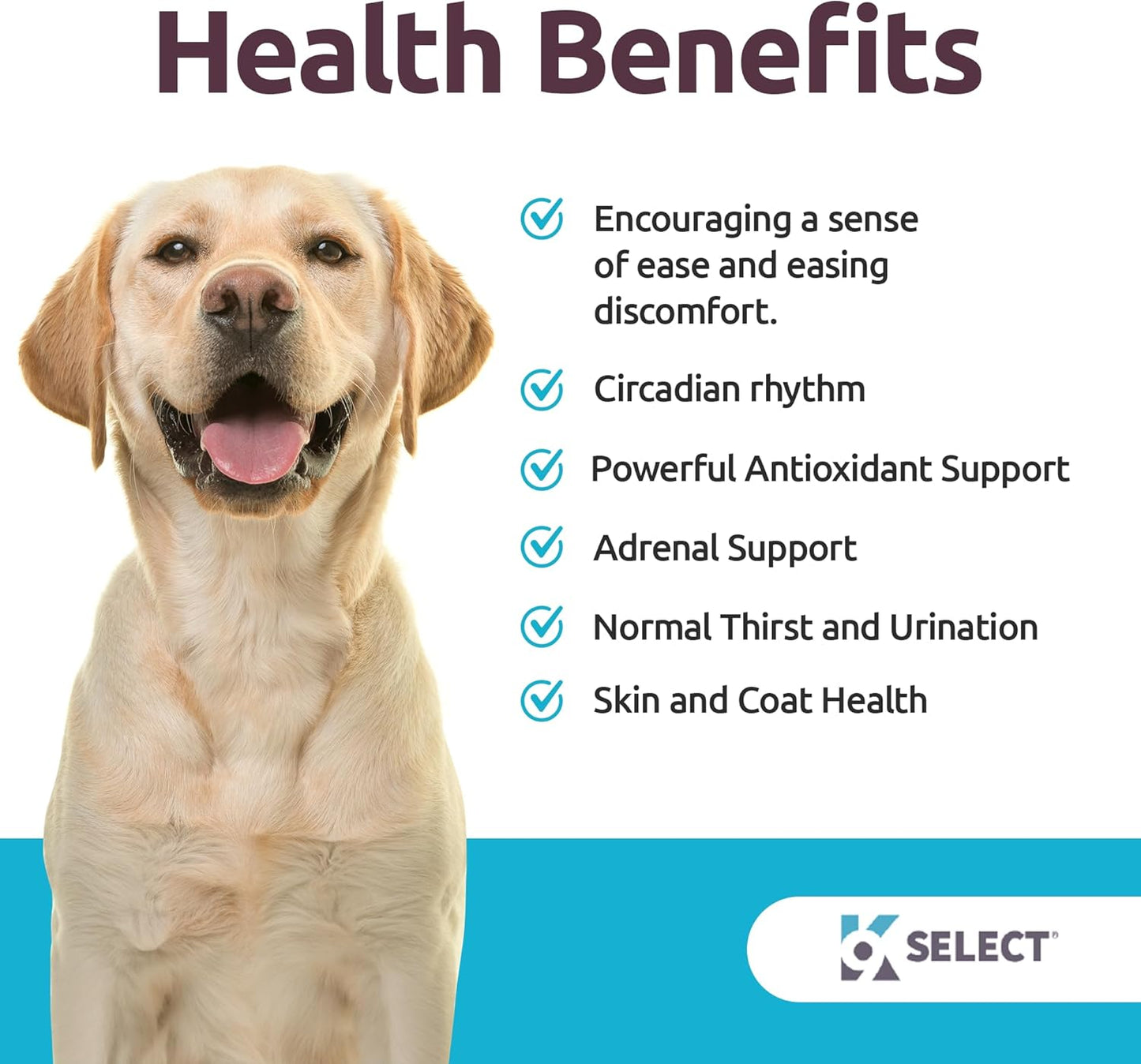 K9 Select Melatonin for Large Dogs – Composure & Calming Chews – 6 mg, 90 Beef Flavoured Tablets for Stress & Sleep Support