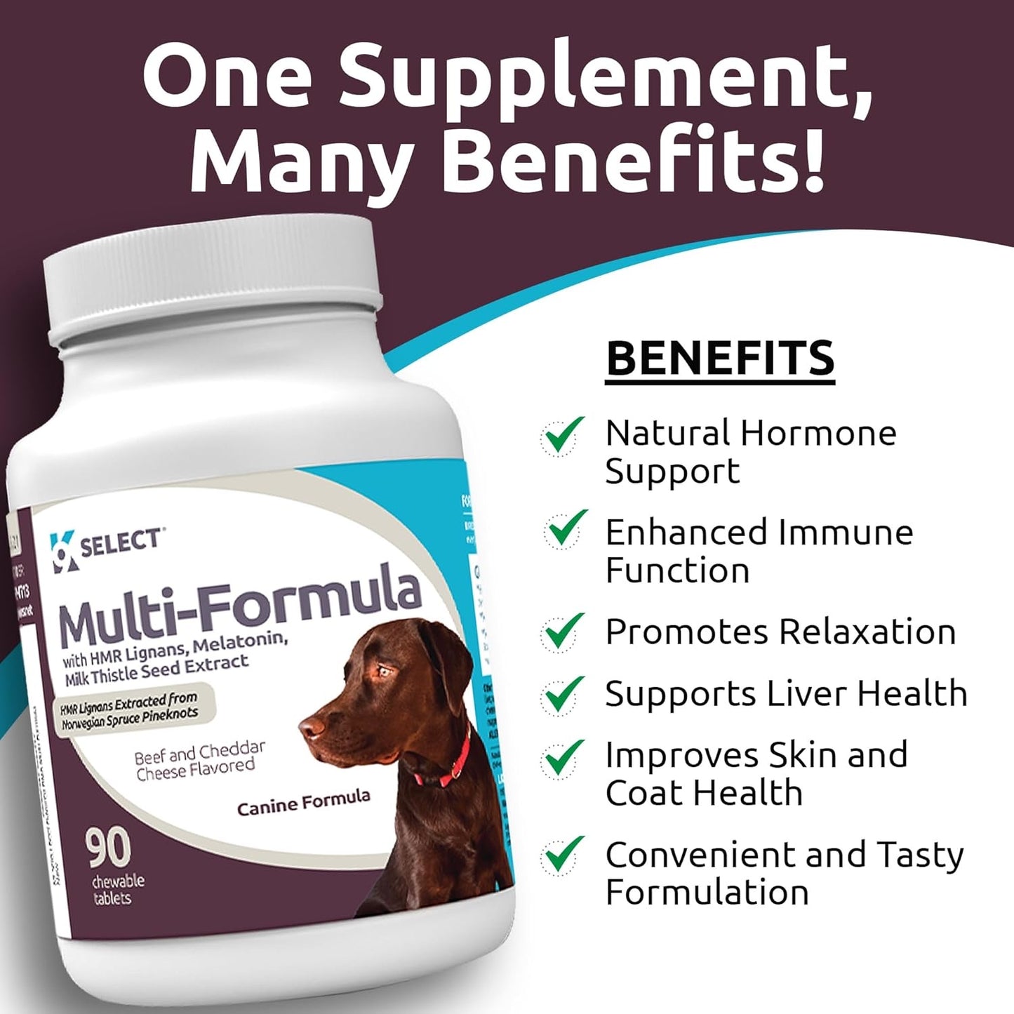 K9 Select Multi-Formula Dog Vitamins for Large Dogs – 90 Beef Tablets | Heart, Liver, Skin & Coat Health with HMR Lignans, Melatonin & Milk Thistle