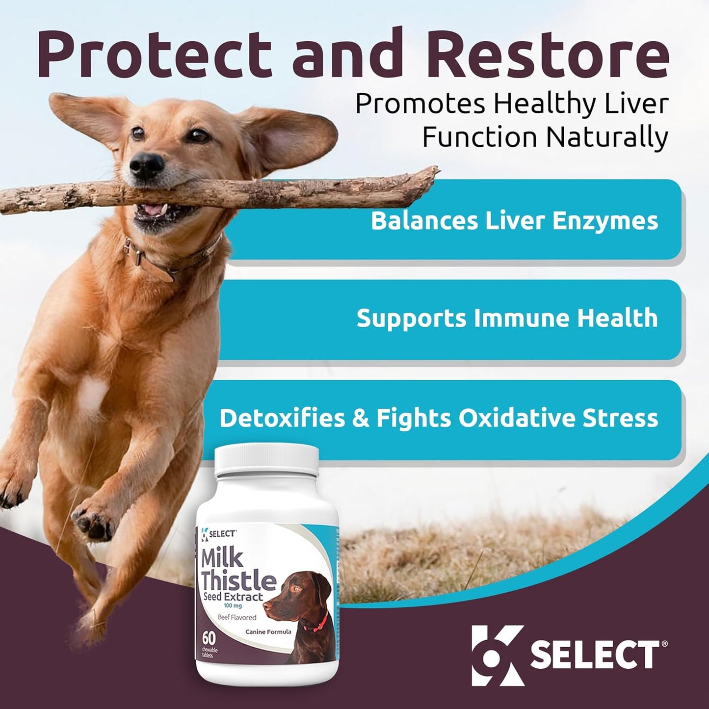 K9 Select Milk Thistle for Dogs – 100 mg Liver Support Supplement – 60 Beef Flavoured Tablets for Canine Detox & Immune Health