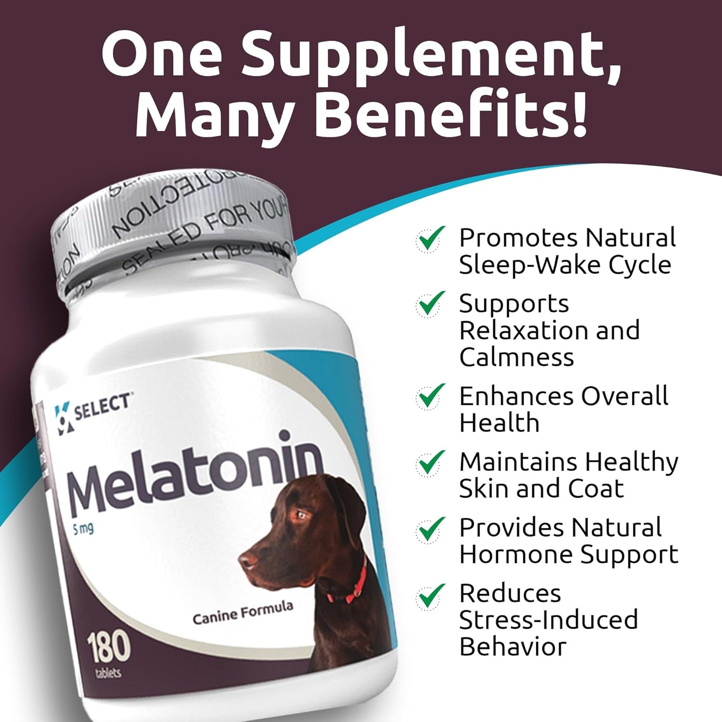 K9 Select Melatonin for Dogs – Calming Aid & Quiet Moments Supplement – 5 mg, 180 Beef Flavoured Tablets for Large Dogs