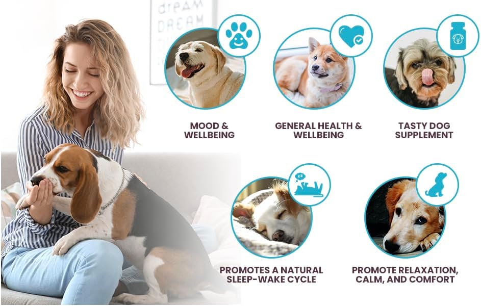 K9 Select Melatonin for Large Dogs – Composure & Calming Chews – 6 mg, 90 Beef Flavoured Tablets for Stress & Sleep Support