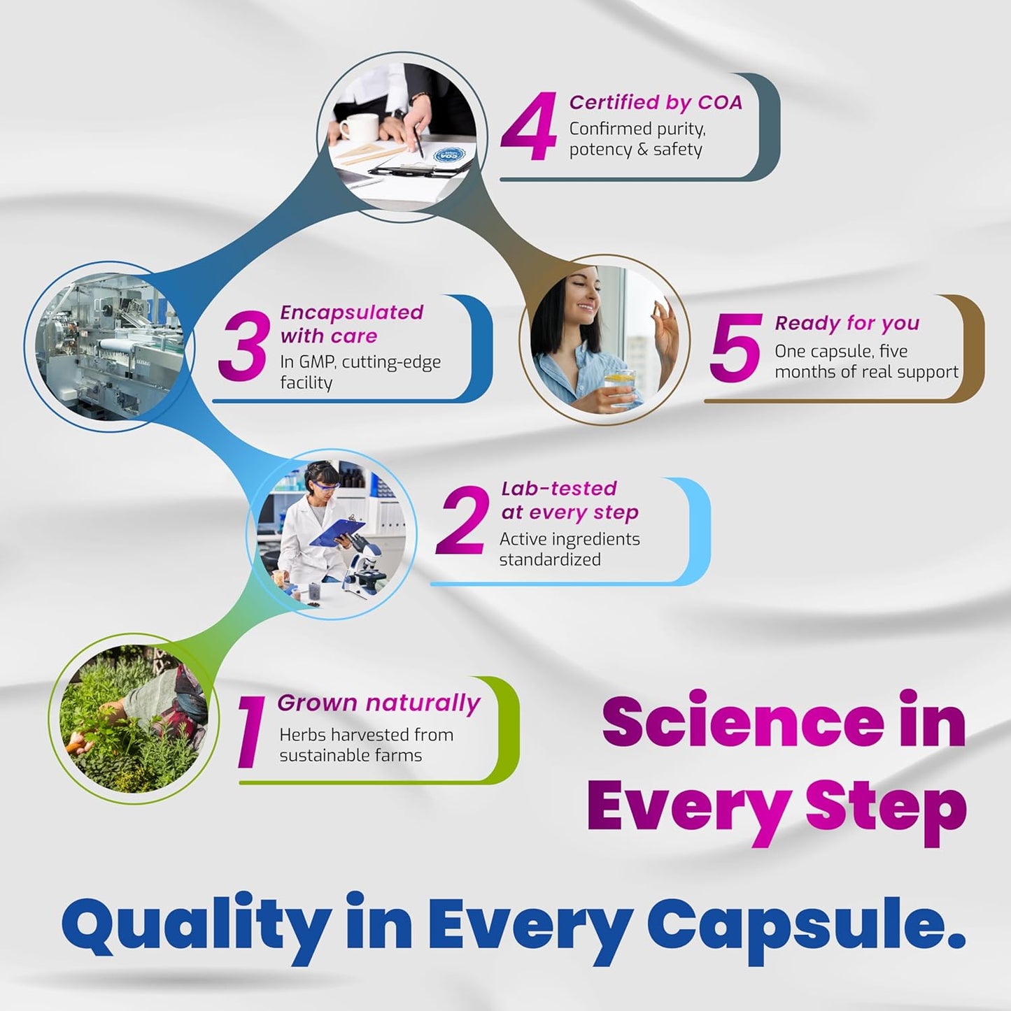 VEGATOT 10-in-1 Resveratrol + Quercetin | Healthy Aging, Immune & Brain Support – 90 Capsules